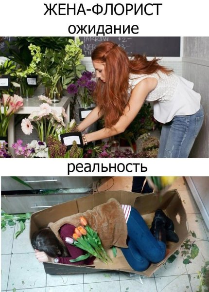 Растения карикатура