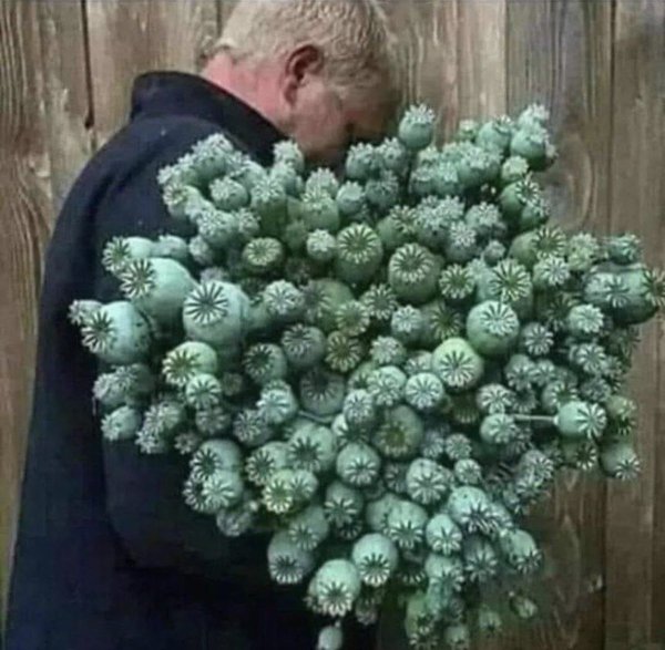 Мышонок с цветами