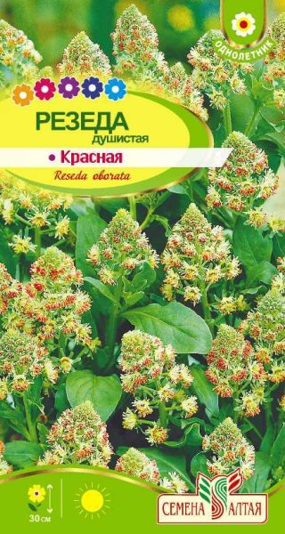 Семена Резеда душистая