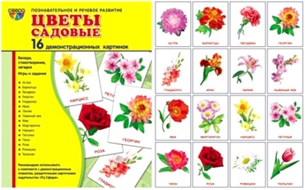 Садовые цветы для детей