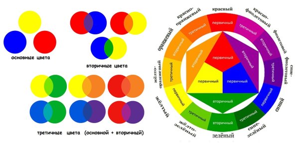 Теплые и холодные цвета