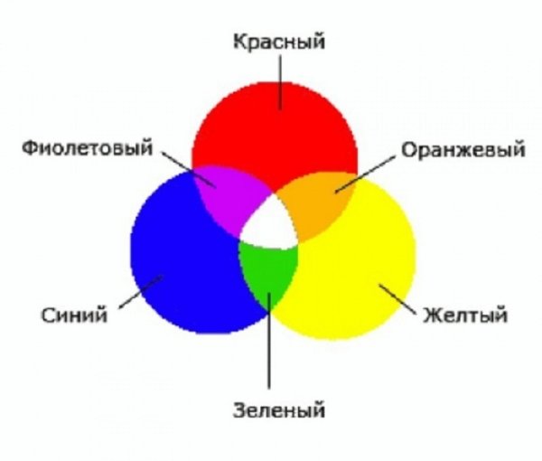 Схема фотосинтеза у растений