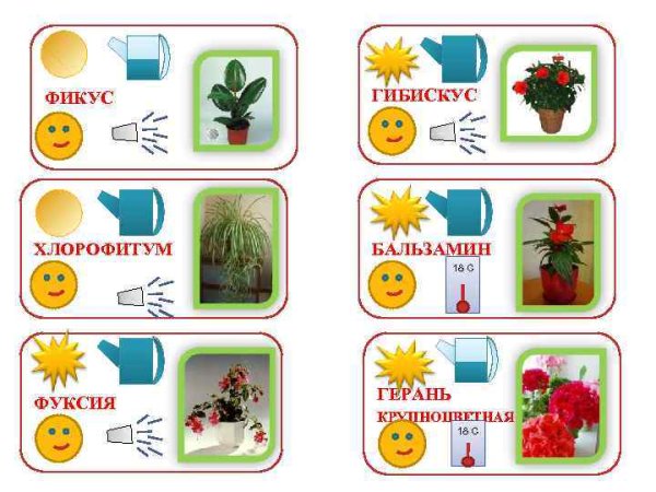 Строение цветка схема 6 класс биология
