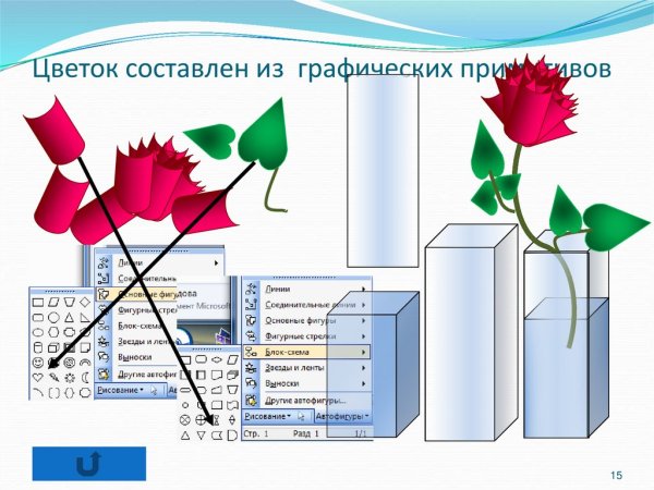 Комнатным растениям необходимо