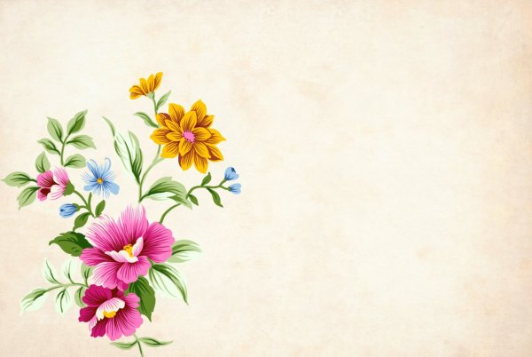 Весенние цветы на прозрачном фоне