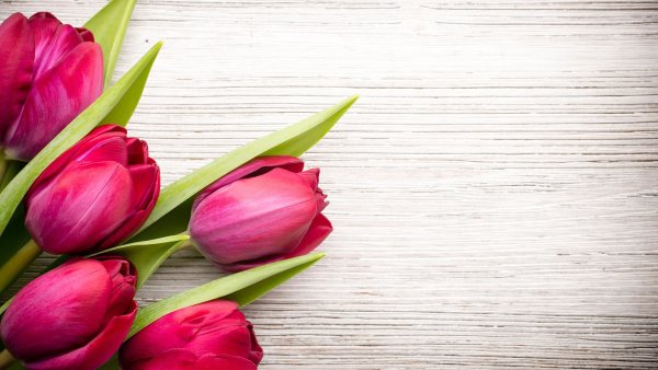 Весенние цветы на 8 марта