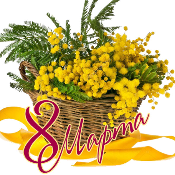 Розовые и сиреневые тюльпаны