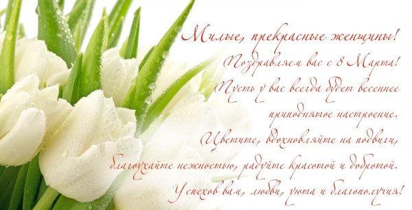 Букет тюльпанов