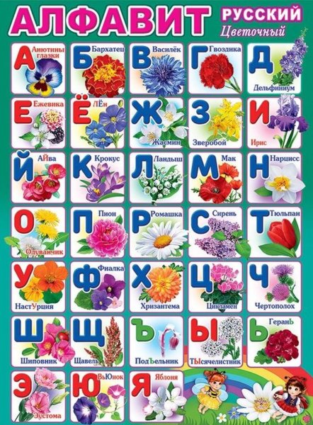 Цветы с названиями для детей