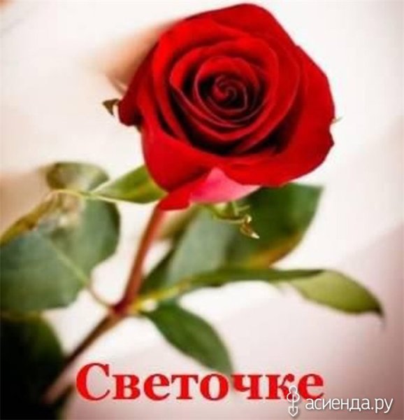 Цветочки для Светочки