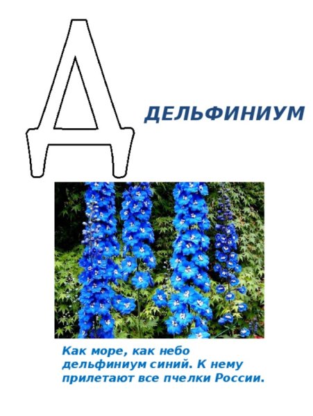 Комнатные растения для дет
