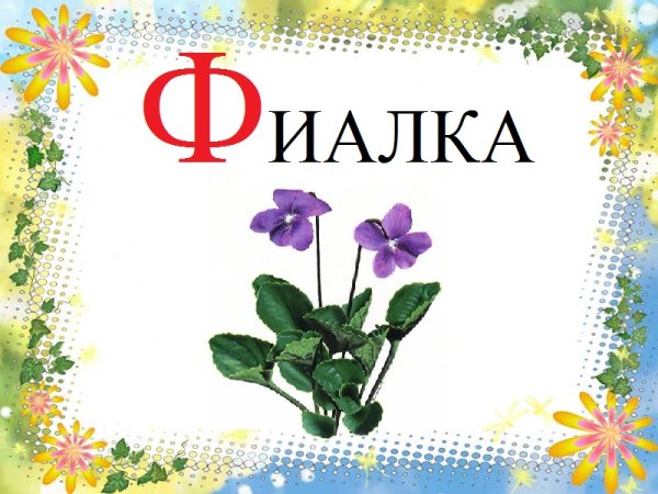 Цветы названия на английском