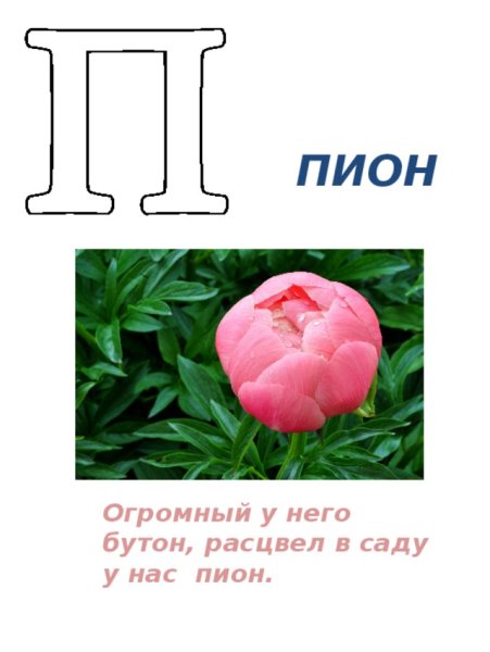 Буквы с цветами