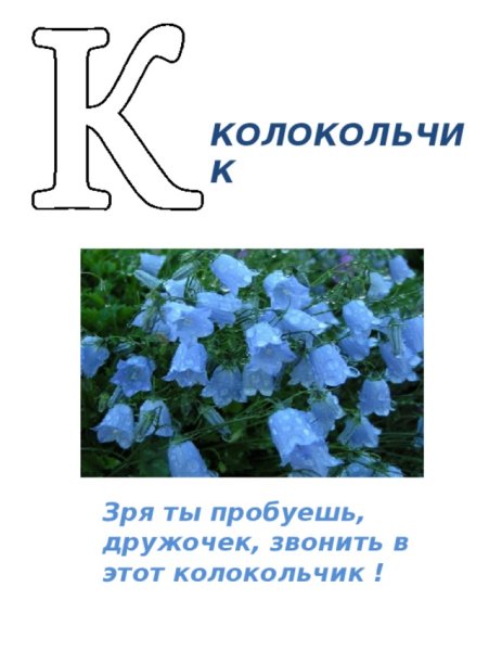Лото для детей растения