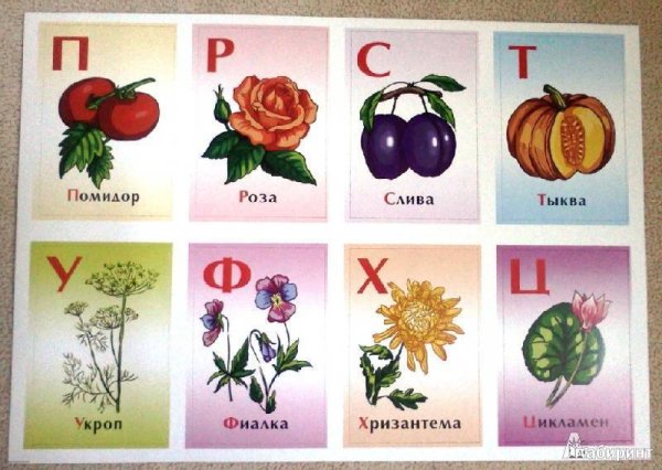 Аста на белом фоне