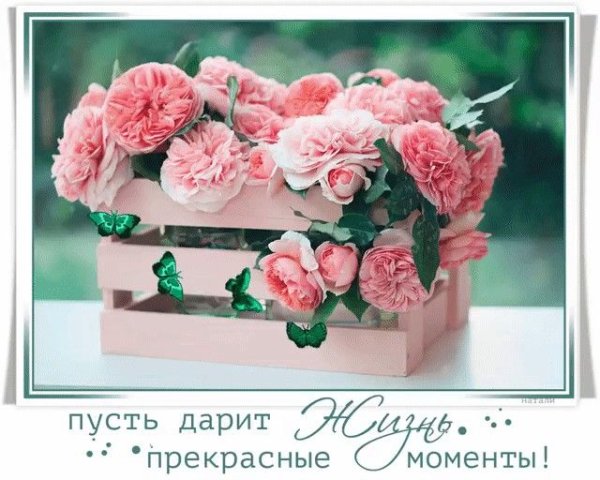 Нежная Эстетика