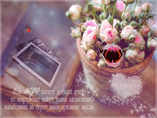 Цветы на ветру