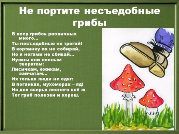 Не топчи несъедобные грибы