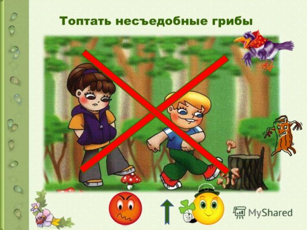 Не сбивай грибы знак