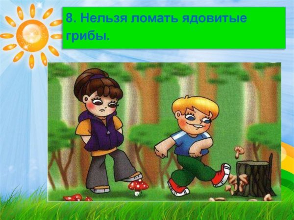 Поведение в лесу картинки