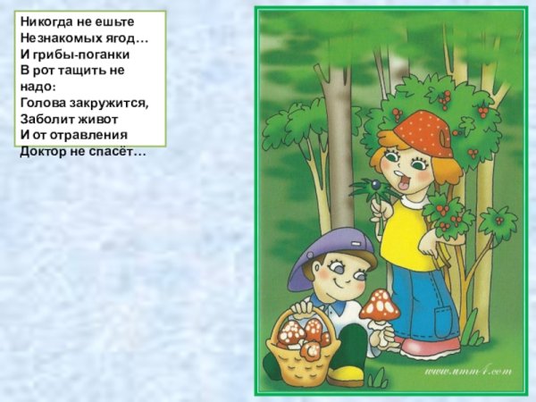Не ешьте незнакомые грибы и ягоды