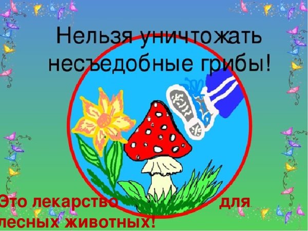 Профилактика отравления грибами