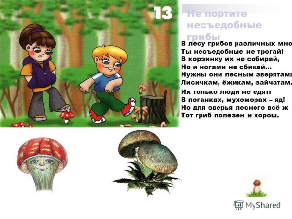 Знак запрещающий рвать цветы