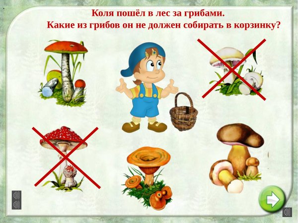 Не топчи ядовитые грибы