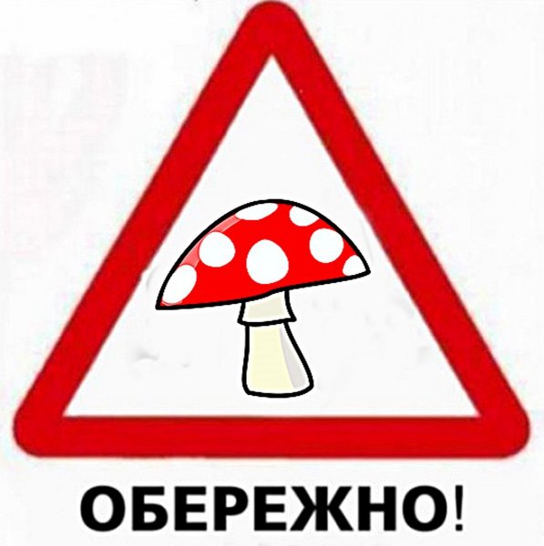 Природоохранные знаки для детей