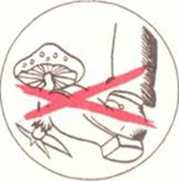 Ядовитые растения значок