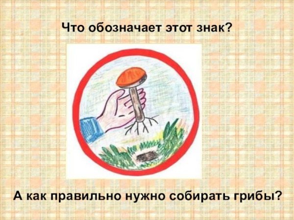 Не портите несъедобные грибы