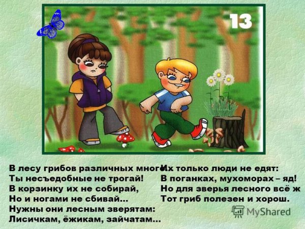 Знак запрещающий рвать цветы