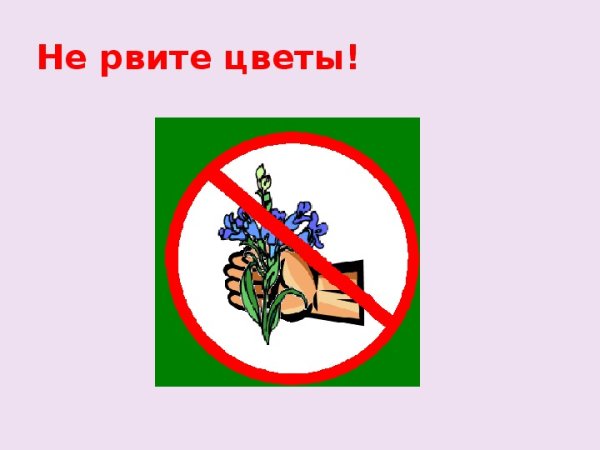 Не срывали растения табличка