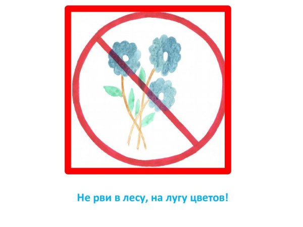 Знак нельзя срывать цветы