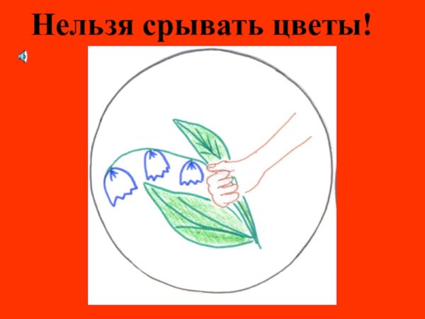 Рвать цветы запрещено