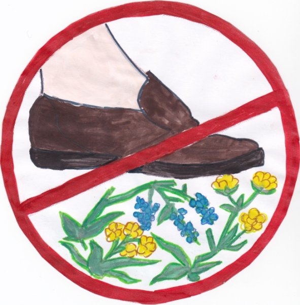 Знак не рвите растения