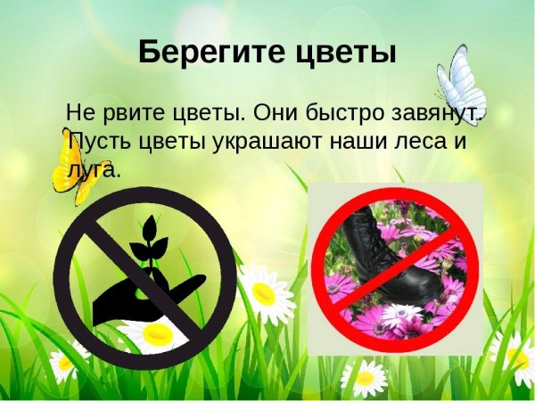 Знак не срывать цветы