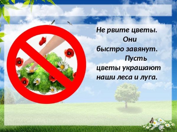Знак запрещающий срывать растения