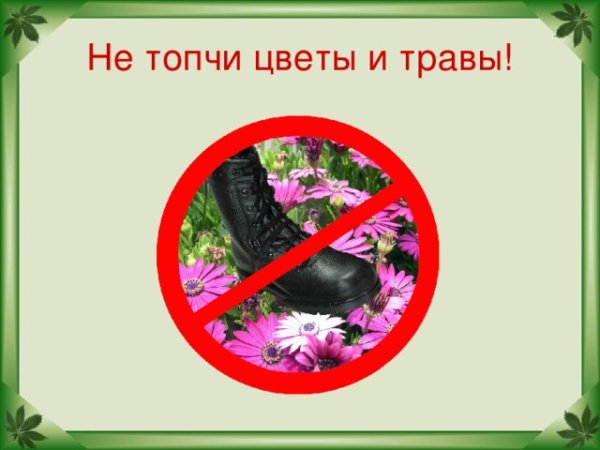 Знак запрещающий рвать цветы