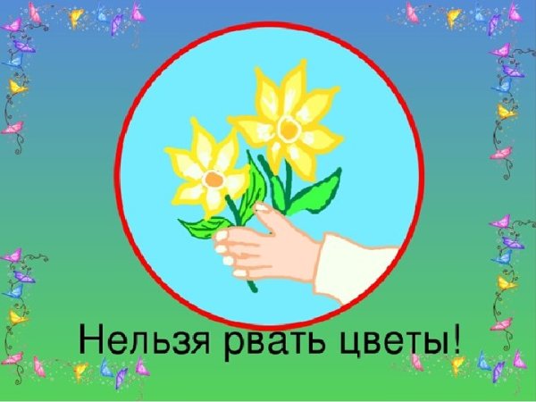 Цветы не трогать табличка