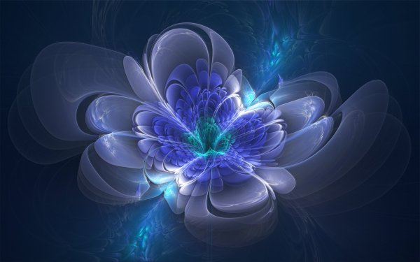 Цветы абстракция