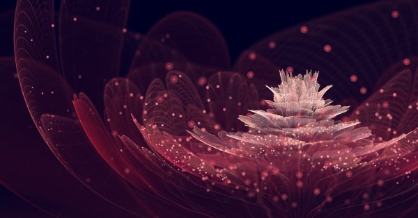 Фантастические цветы