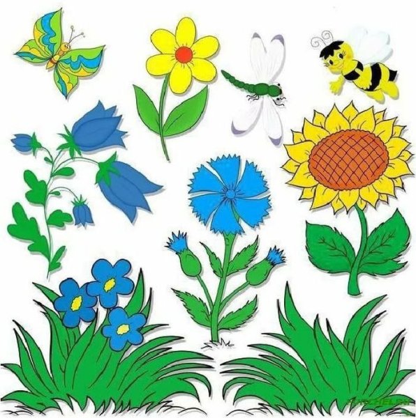 Картинки цветы для детского сада (67 фото)