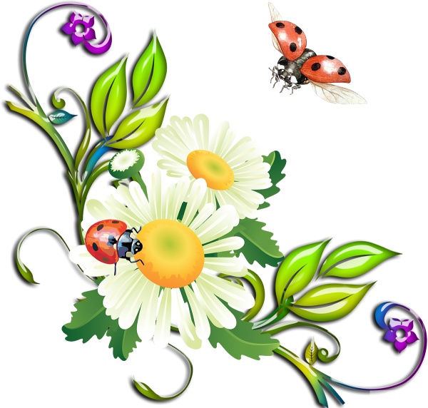 Весенние цветы для украшения