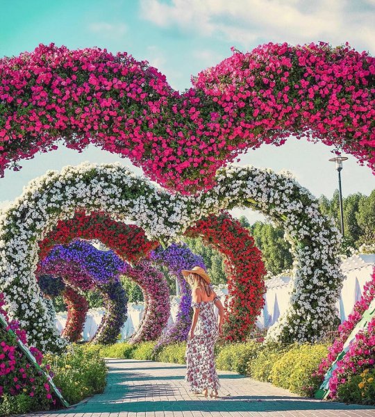 Miracle Garden Дубай