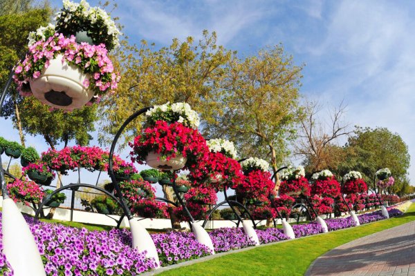Al Ain Paradise парк