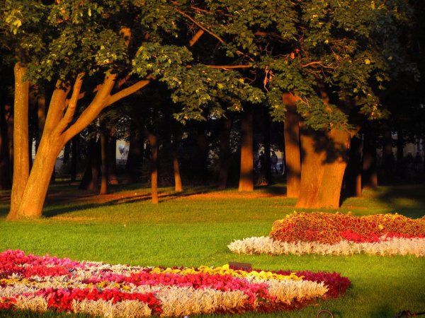 Летний парк с цветами
