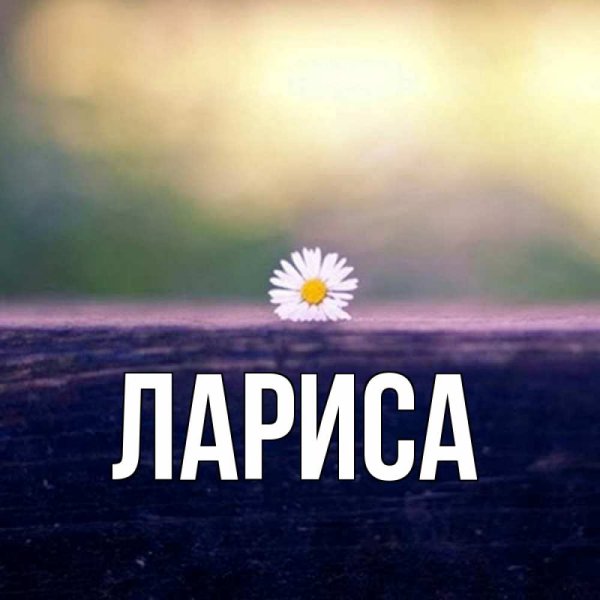 Цветок имени Лариса