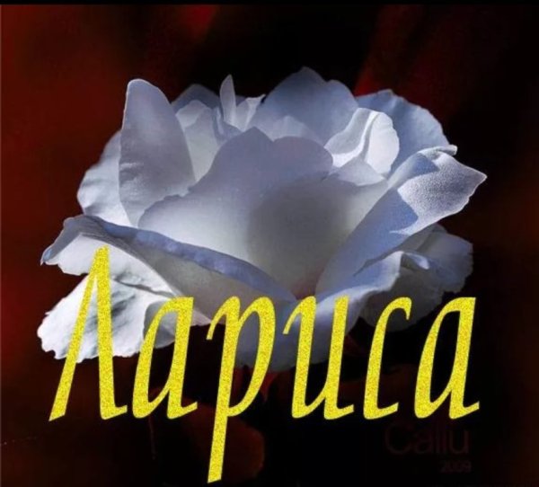 Картинки с именем Лариса