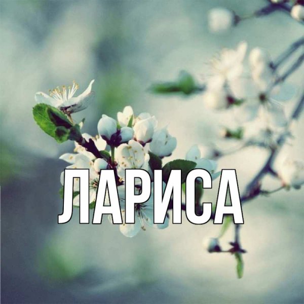 Ларочке цветы